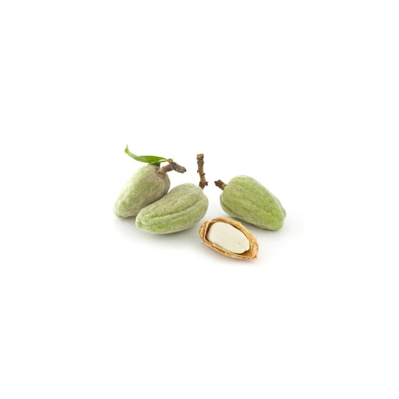 Nature soin Huile d'amandes Amères 1er Pression 50ml