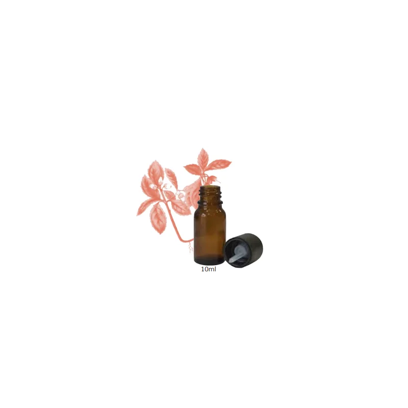 JERRAFLORE HUILE ESSENTIELLE GAULTHÉRIE 10ml