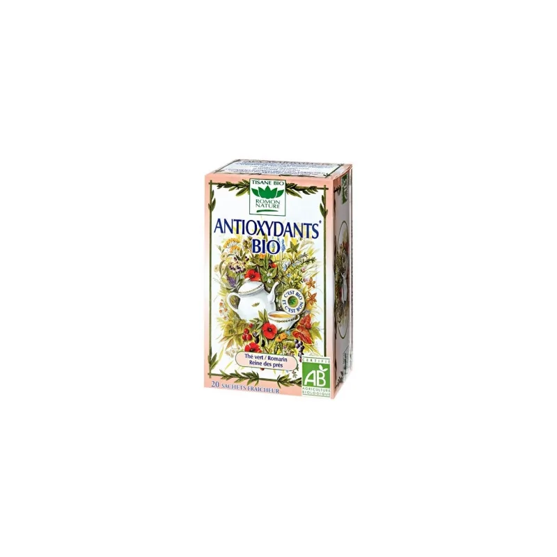 ROMON NATURE ANTIOXYDANTS 20x1,7G